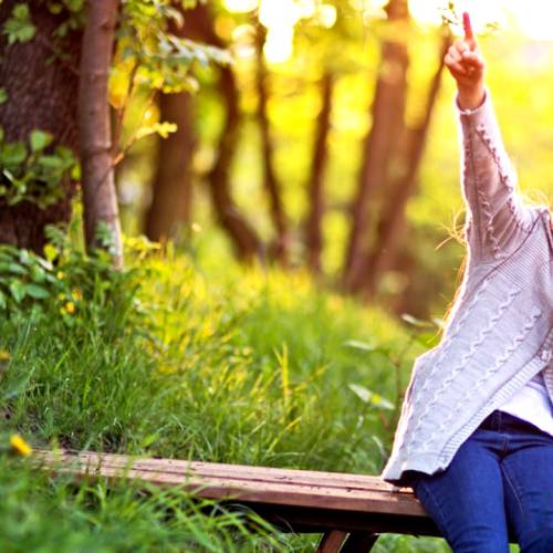 Çevre Danışmanlığı Nedir?